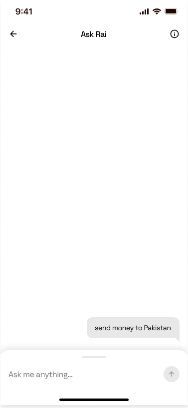 The thread just after the customer sends their first request, showing the message 'send money to Pakistan' and an empty composer waiting on a reply